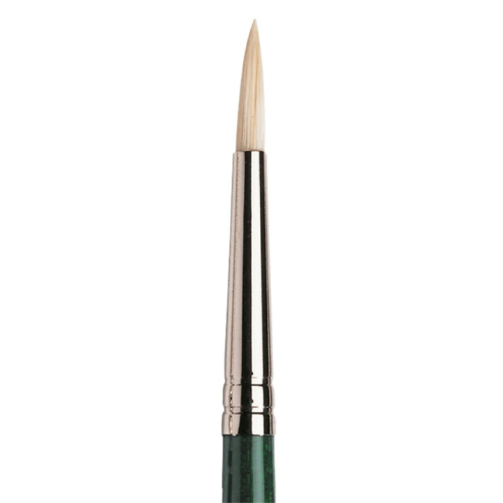 Winton Hog Brush Round 3 in the group Art Supplies / Brushes / Natural Hair Brushes / Hog bristle brushes at Pen Store (107576)