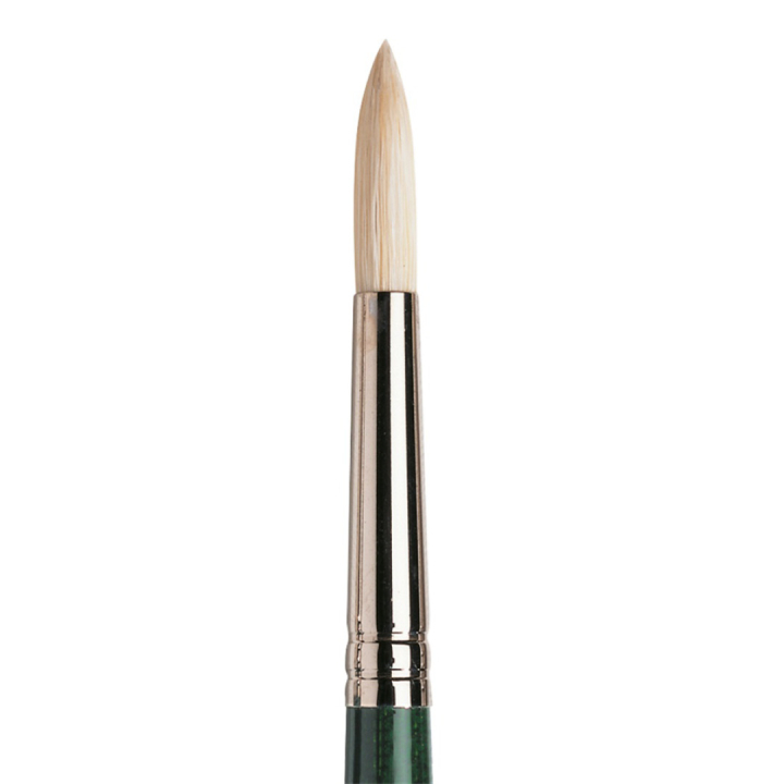 Winton Hog Brush Round 6 in the group Art Supplies / Brushes / Natural Hair Brushes / Hog bristle brushes at Pen Store (107582)