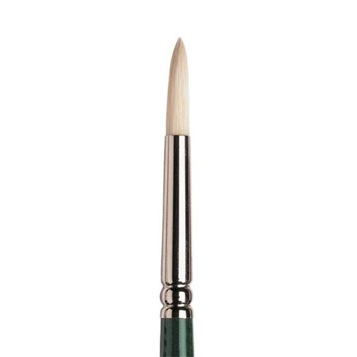 Winton Hog Brush Round 4 in the group Art Supplies / Brushes / Natural Hair Brushes / Hog bristle brushes at Pen Store (107584)