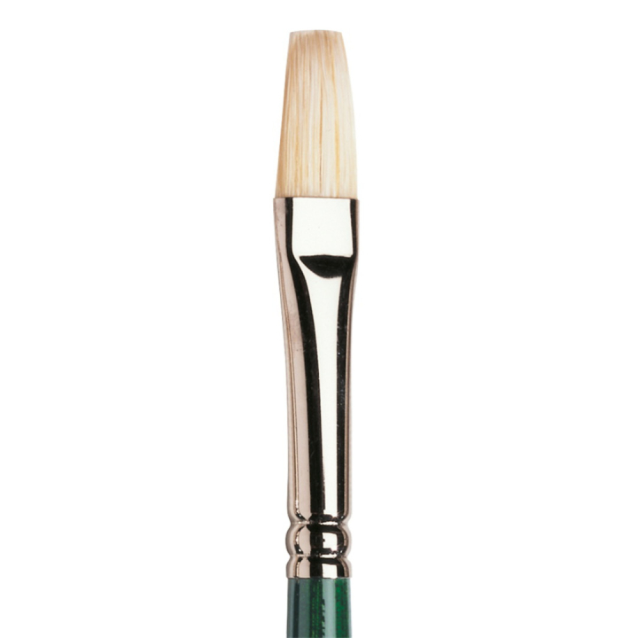 Winton Hog Brush Long Flat 6 in the group Art Supplies / Brushes / Natural Hair Brushes / Hog bristle brushes at Pen Store (107586)
