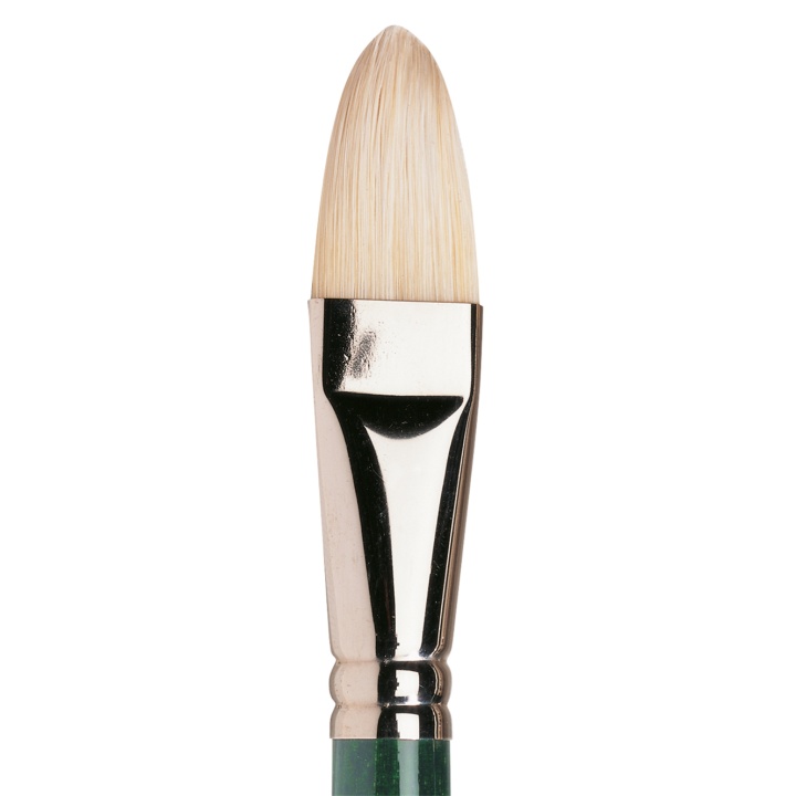 Winton Hog Brush Filbert 12 in the group Art Supplies / Brushes / Natural Hair Brushes at Voorcrea (107660)