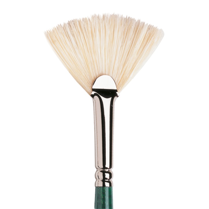 Winton Hog Brush Fan 3 in the group Art Supplies / Brushes / Natural Hair Brushes at Pen Store (107662)