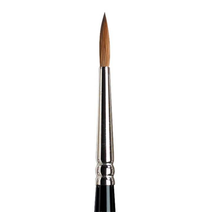Series 7 Kolinsky Sable Brush 3 in the group Art Supplies / Brushes / Thin Brushes at Voorcrea (107670)