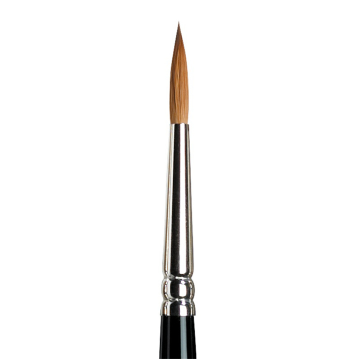 Series 7 Kolinsky Sable Brush 4 in the group Art Supplies / Brushes / Watercolor Brushes at Pen Store (107671)