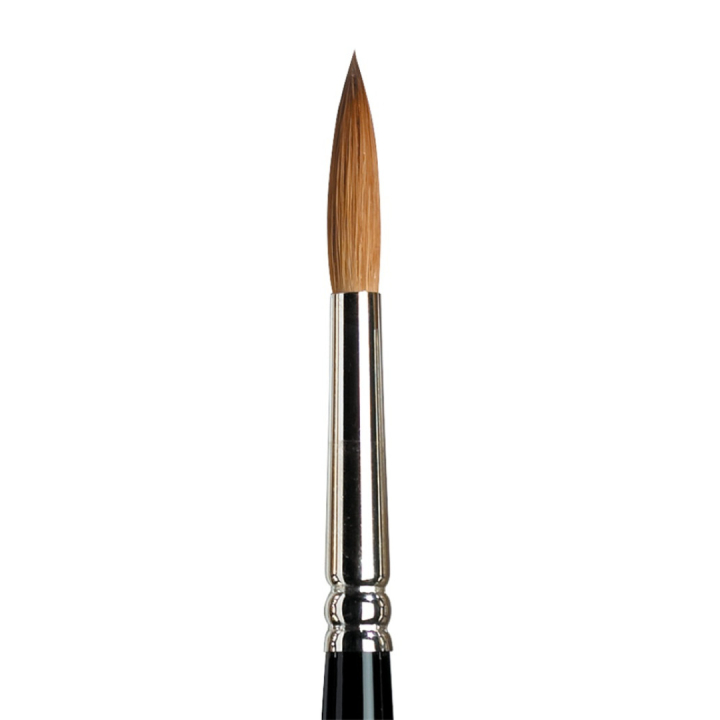 Series 7 Kolinsky Sable Brush 7 in the group Art Supplies / Brushes / Watercolor Brushes at Pen Store (107673)