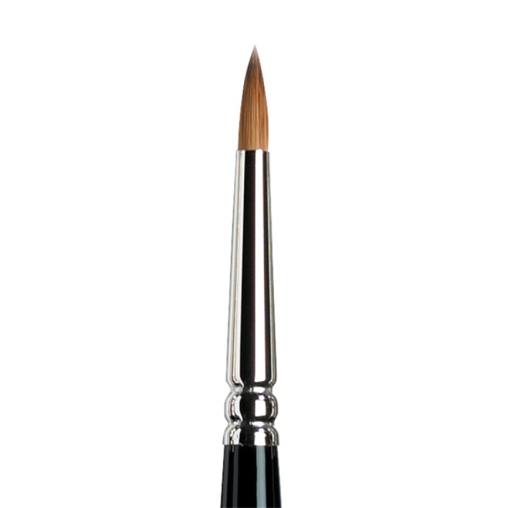 Series 7 Kolinsky Sable Brush Miniature 5 in the group Art Supplies / Brushes / Watercolor Brushes at Pen Store (107680)