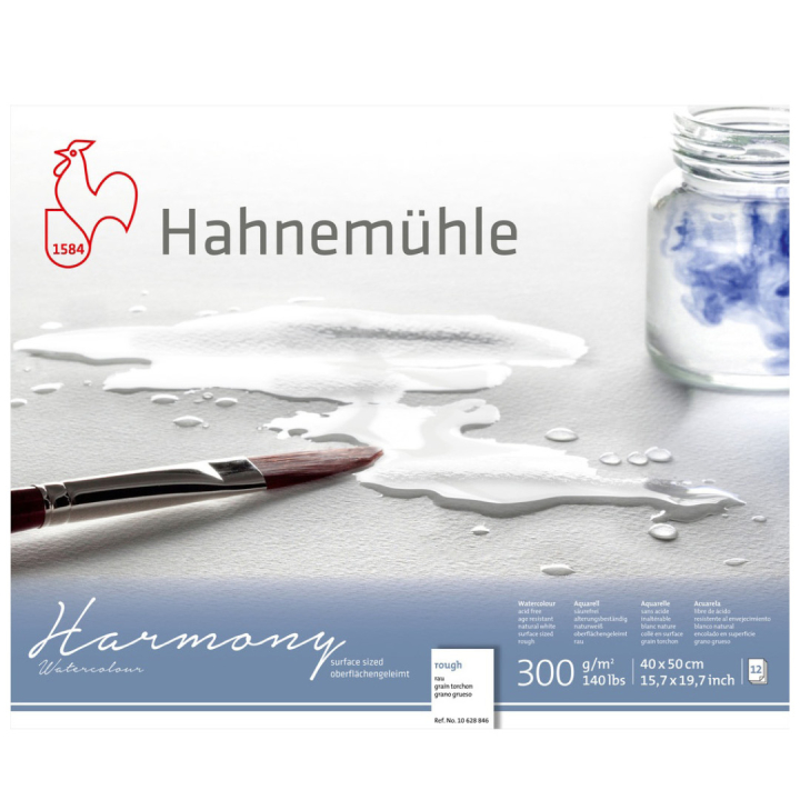 Watercolour Paper Harmony Rough 300g 40x50cm in the group Paper & Pads / Artist Pads & Paper / Watercolor Pads at Pen Store (108755)