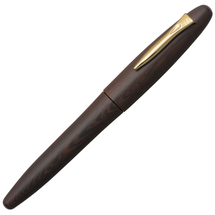 Platinum Izumo Matt Tagayasan Fountain Pen in the group Pens / Fine Writing / Fountain Pens at Pen Store (109886_r)