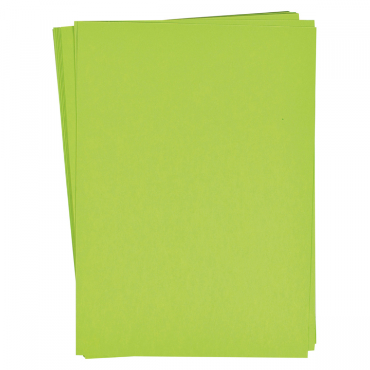 Paper light green 25 pcs 180 g in the group Paper & Pads / Artist Pads & Paper / Colored Papers at Pen Store (126893)