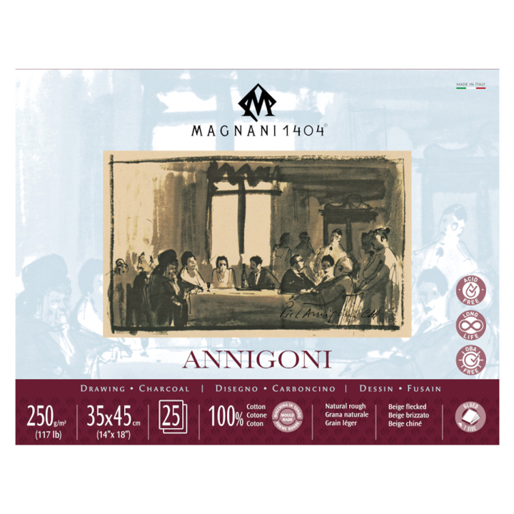 Annigoni 250g 35x45cm 25 Sheets in the group Paper & Pads / Artist Pads & Paper / Drawing & Sketch Pads at Pen Store (129651)