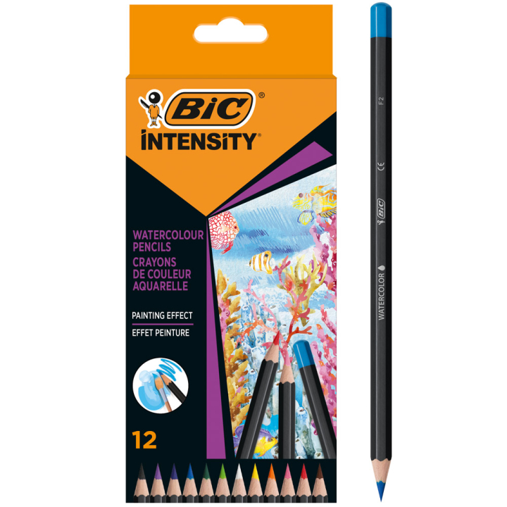 Watercolour pencils Intensity 12-set in the group Pens / Artist Pens / Watercolor Pencils at Pen Store (130133)