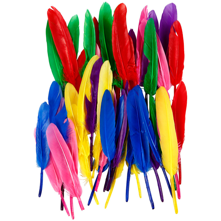 Feathers 48 pack in the group Hobby & Creativity / Holidays and seasons / Easter crafts at Pen Store (136985)