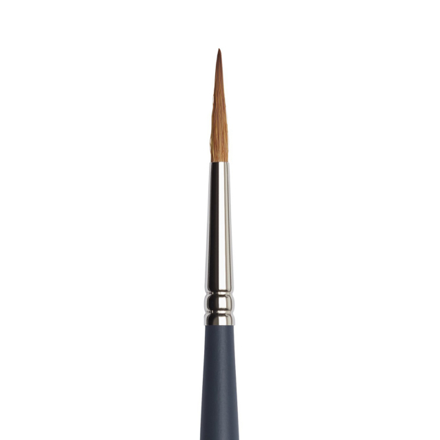 Professional Brush Pointed Round Size 6