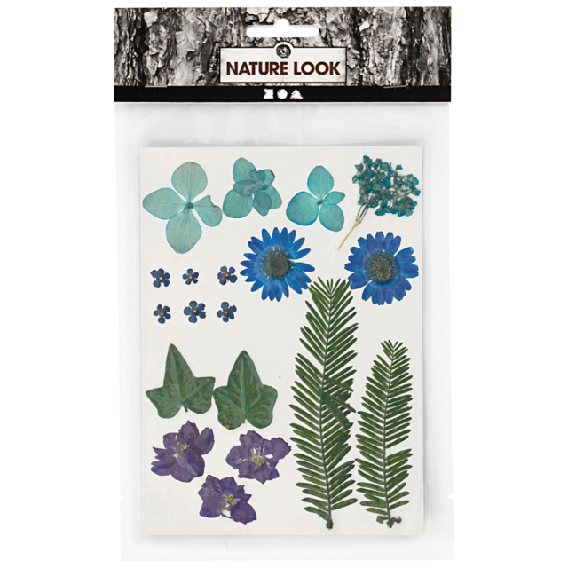 Dried flowers and leaves Blue