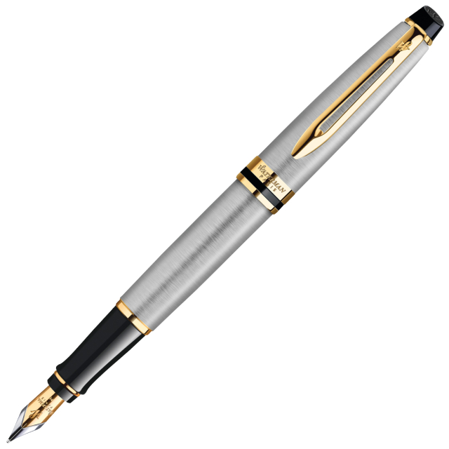 Expert Steel/Gold Fountain pen