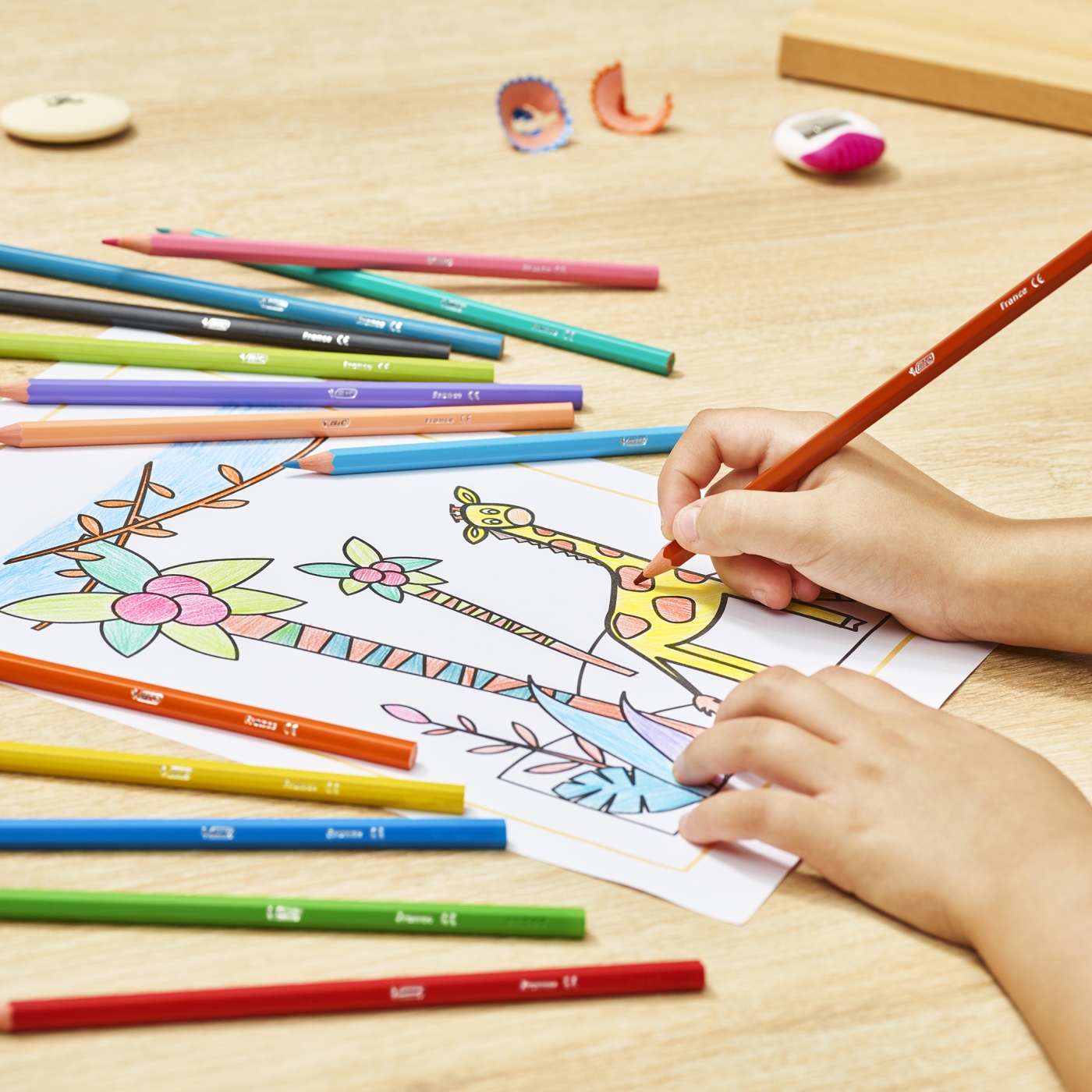 Kids Tropicolors Coloring Pencils 18-set in the group Kids / Kids' Pens / Coloring Pencils for Kids at Pen Store (100240)