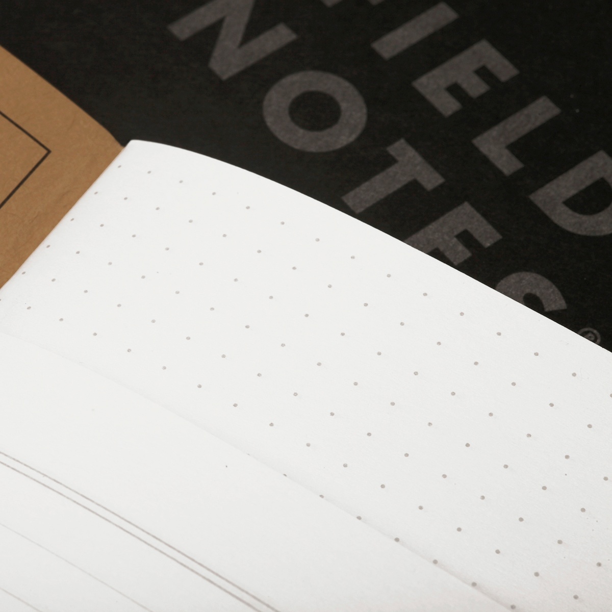 Memo Book Dotted 2-pack in the group Paper & Pads / Note & Memo / Notebooks & Journals at Pen Store (101430_r)