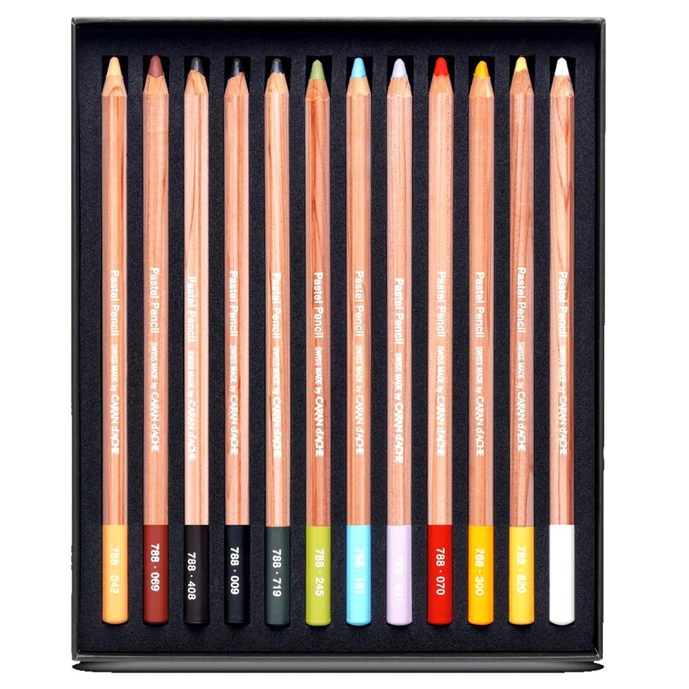 Caran Dache Extra Fine Dry Pastel Pencils Sketching Artist Colour Art Case Set