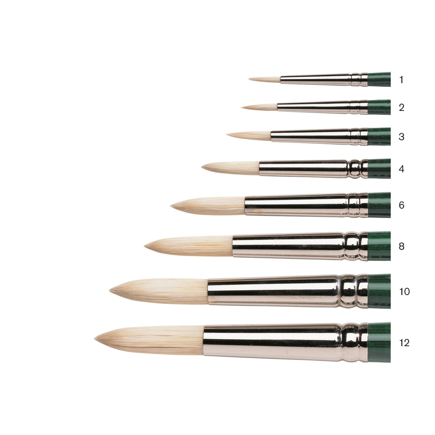 Winton Hog Brush Round 12 in the group Art Supplies / Brushes / Natural Hair Brushes at Pen Store (107583)