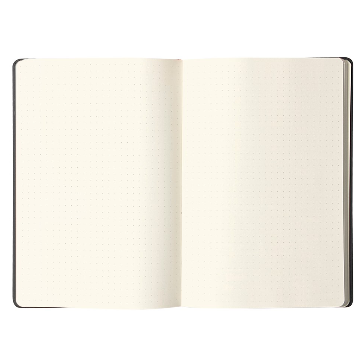 Webnotebook A5 Dotted in the group Paper & Pads / Note & Memo / Notebooks & Journals at Pen Store (110214)