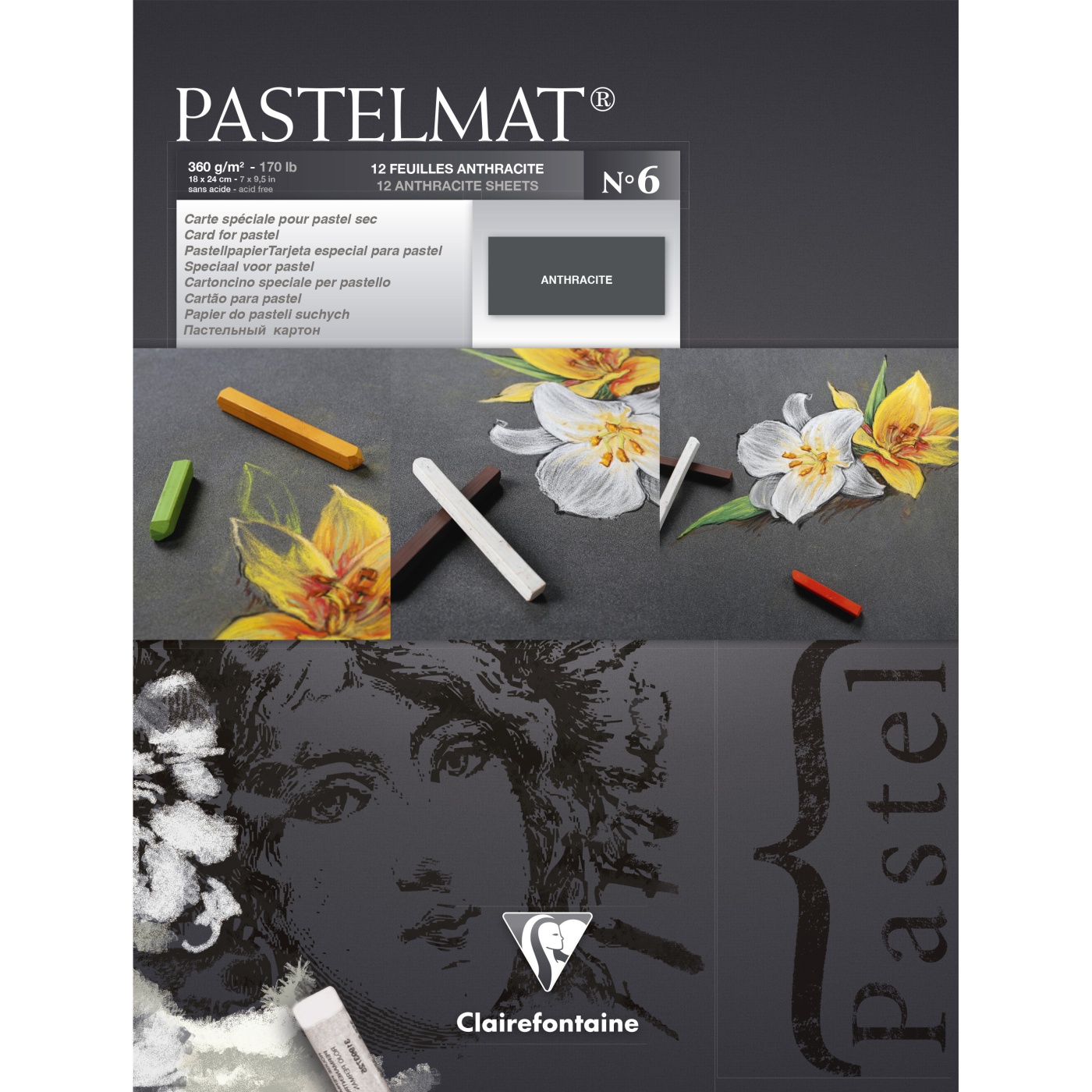 Clairefontaine Pastelmat - Pastel Card Pad -360g (Ref 5) - 30 x 40cm  3329680960075