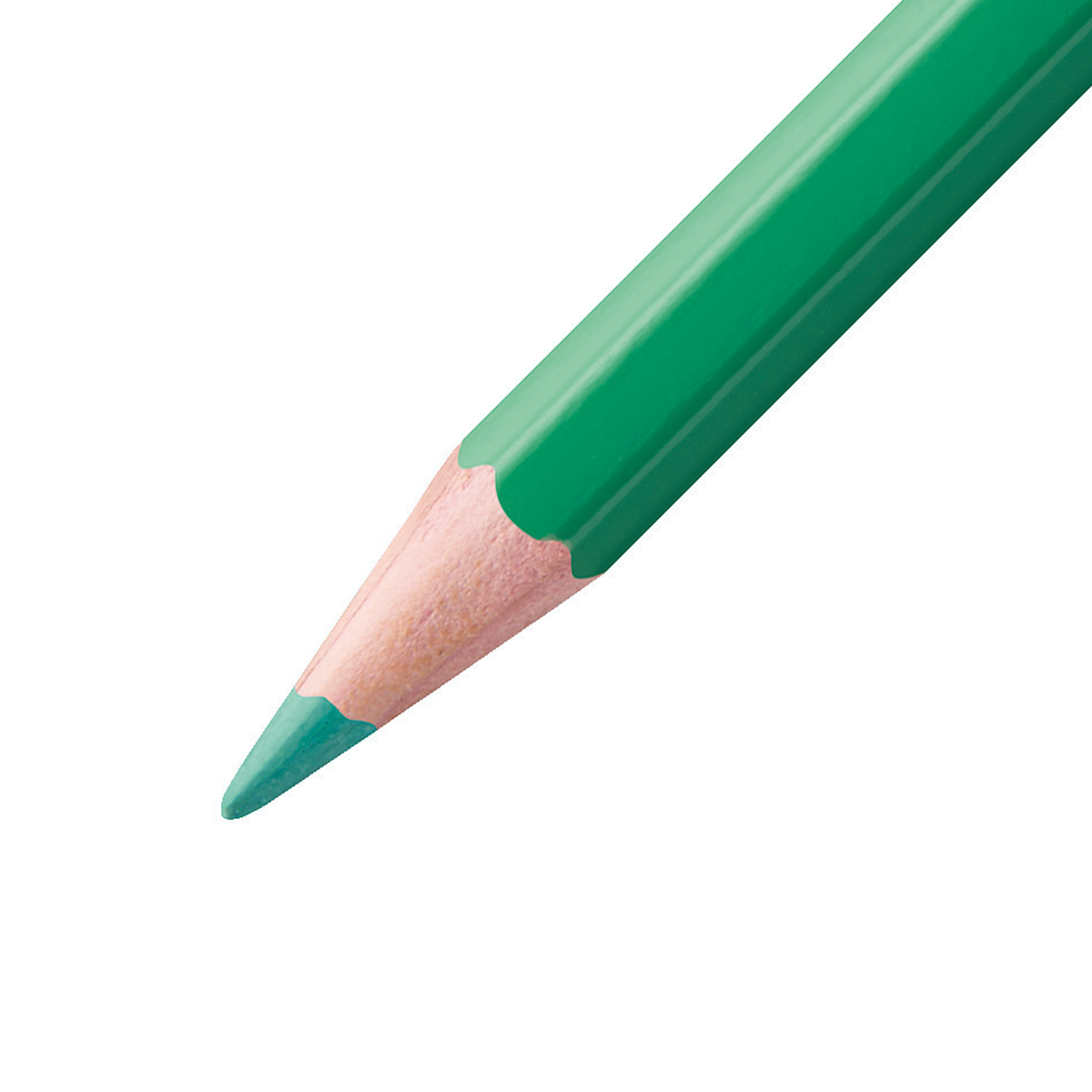 Aquacolor Watercolour Pencils 36 pcs in the group Kids / Kids' Pens / Coloring Pencils for Kids at Pen Store (127800)