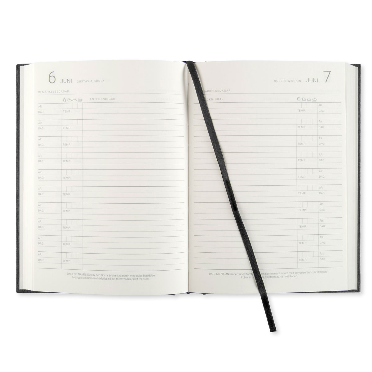 10 Year Journal A5 Black in the group Paper & Pads / Planners / Special Planners at Pen Store (128473)