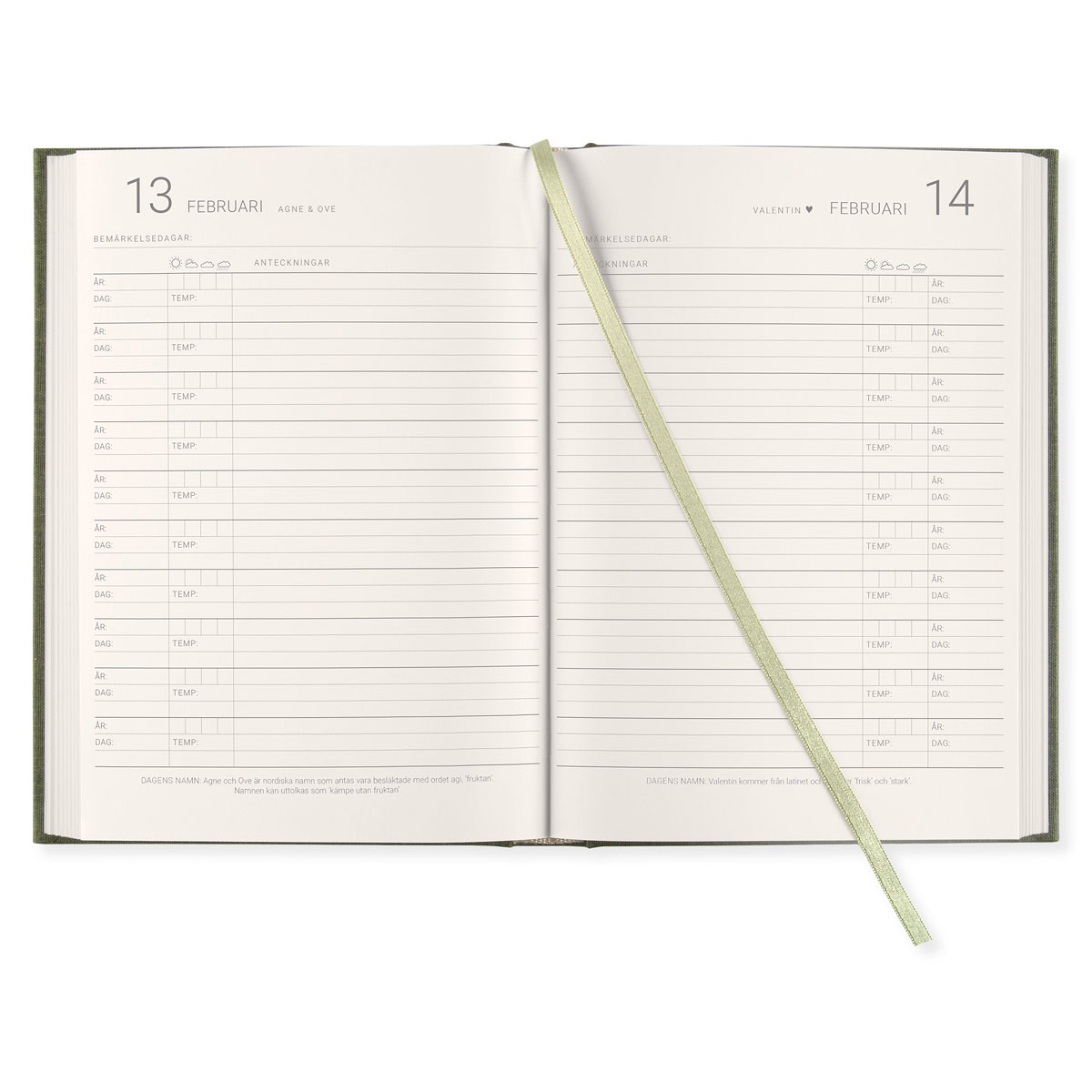 10 Year Journal A5 Khaki Green in the group Paper & Pads / Planners / Special Planners at Pen Store (128475)