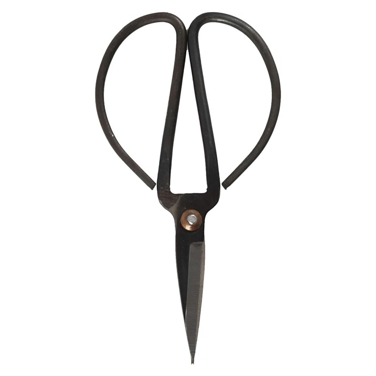 Scissors - Kidicut - 12 cm