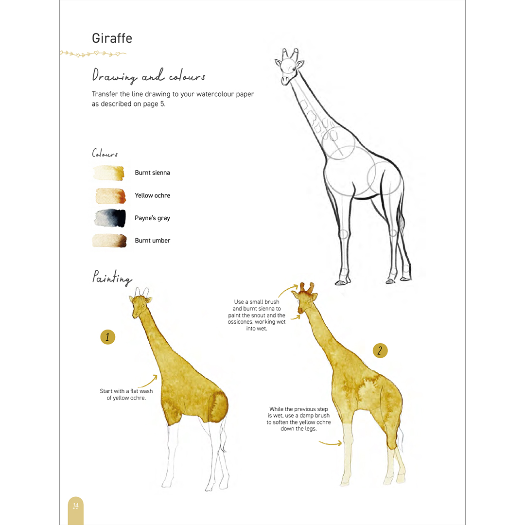 Paint 50: Watercolour Animals