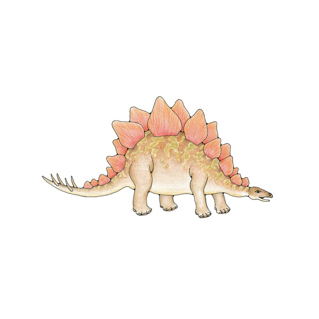 Draw 30: Dinosaurs