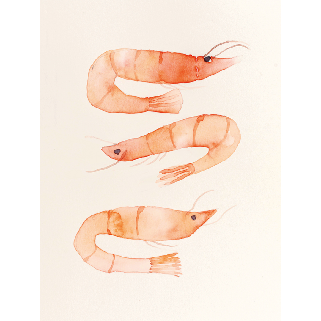 The Colour Mixing Guide: Watercolour Seashore