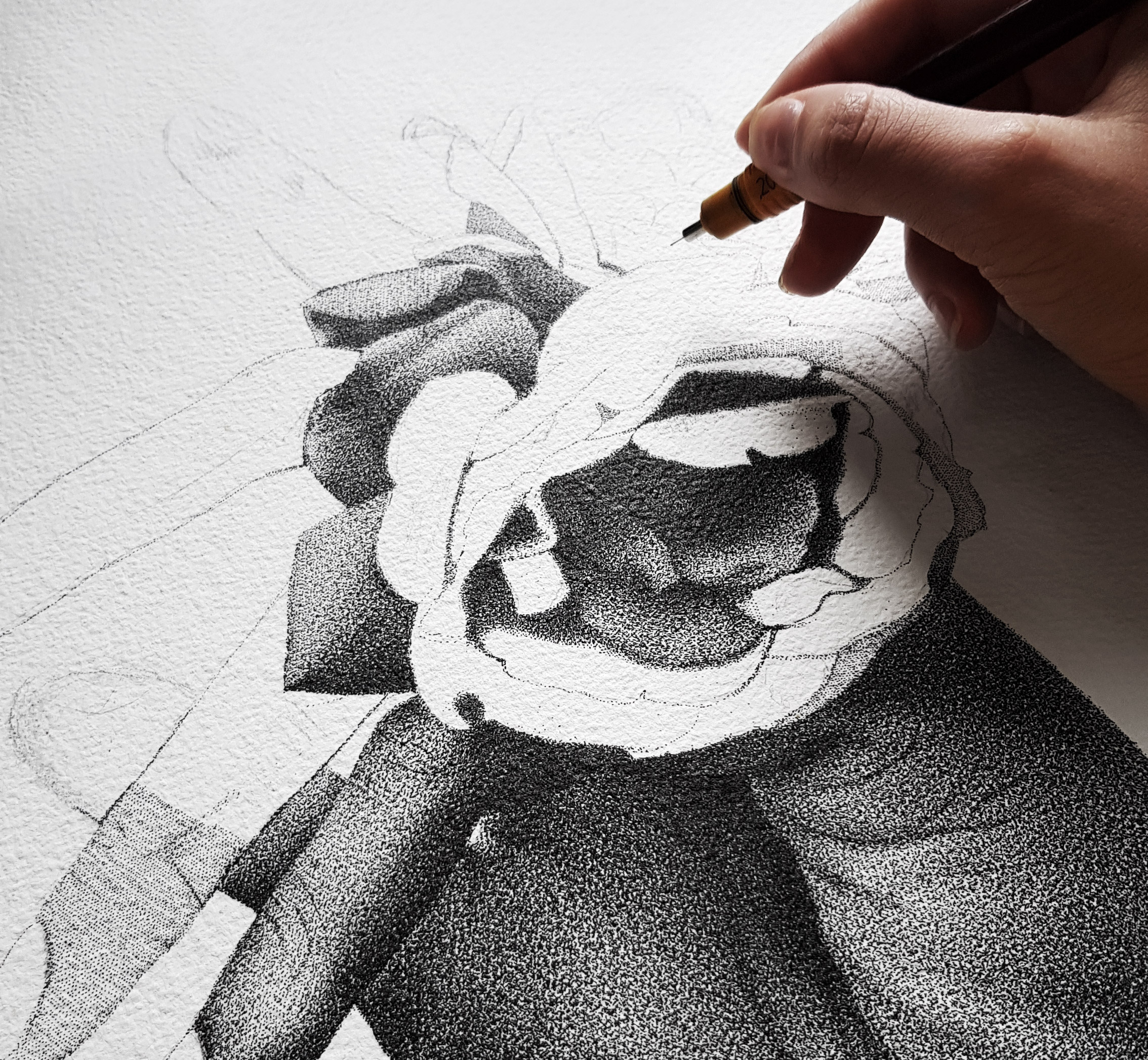 Pen and ink illustration of a squirrel drawn in stipple dots by Jen Borror   Hoot Design Studio on Dribbble