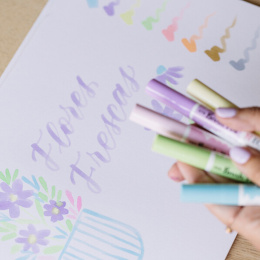 Brush Pen Pastel 5-set in the group Pens / Artist Pens / Brush Pens at Pen Store (103709)