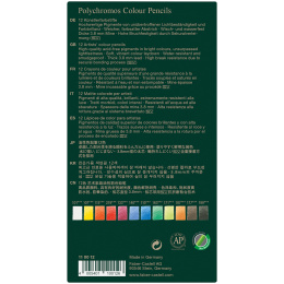 Coloring pencils Polychromos 12-set in the group Pens / Artist Pens / Colored Pencils at Pen Store (105074)