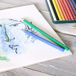 Polychromos singles in the group Pens / Artist Pens / Colored Pencils at Pen Store (105856_r)