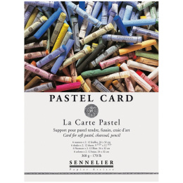 Pastel Card A3 in the group Paper & Pads / Artist Pads & Paper / Pastel Pads at Pen Store (106120)