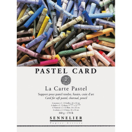 Pastel Card A3 in the group Paper & Pads / Artist Pads & Paper / Pastel Pads at Pen Store (106120)