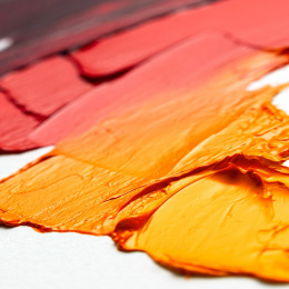 Winton Oil Color Tube 37 ml 10-set in the group Art Supplies / Artist colours / Oil Paint at Pen Store (107256)