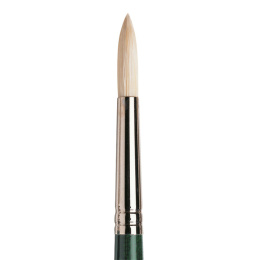 Winton Hog Brush Round 6 in the group Art Supplies / Brushes / Natural Hair Brushes / Hog bristle brushes at Pen Store (107582)