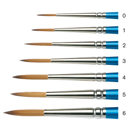 Cotman Brush - Series 222 Round 2 in the group Art Supplies / Brushes / Thin Brushes at Pen Store (107614)