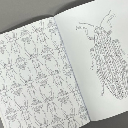 Wonderful Insects in the group Hobby & Creativity / Books / Adult Coloring Books at Pen Store (125501)