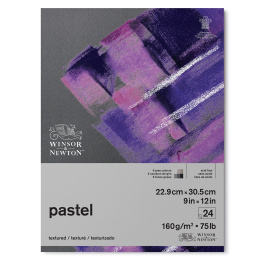 Pastel Pad Grey 23x31 cm 160g in the group Paper & Pads / Artist Pads & Paper / Pastel Pads at Pen Store (128706)