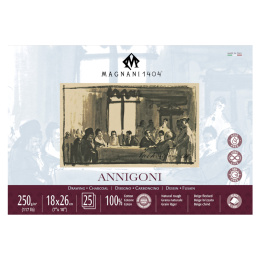 Annigoni 250g 18x26cm 25 Sheets in the group Paper & Pads / Artist Pads & Paper / Drawing & Sketch Pads at Pen Store (129649)