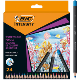 Watercolour pencils Intensity 24-set in the group Pens / Artist Pens / Watercolor Pencils at Pen Store (130134)