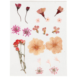 Dried flowers and leaves Light pink in the group Hobby & Creativity / Create / Scrapbooking at Pen Store (130763)