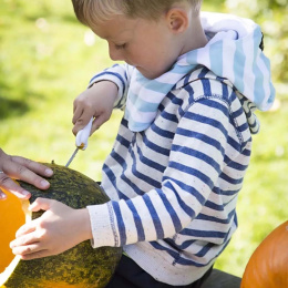 Pumpkin carving kit 5 pcs + templates in the group Hobby & Creativity / Holidays and seasons / Halloween at Pen Store (132630)