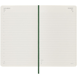 12M Daily Calendar 2025 Hardcover Large Myrtle Green in the group Paper & Pads / Planners / 12-Month Planners at Pen Store (133763)