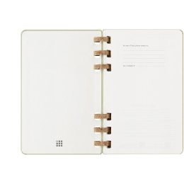 12M Spiral Planner 2025 Large Kiwi in the group Paper & Pads / Planners / 12-Month Planners at Pen Store (133787)