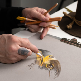 Eagle Drawing set 12 pieces in the group Pens / Artist Pens / Pastel pencils at Pen Store (135655)